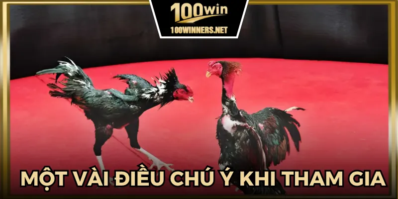 Bí kíp cần nắm khi tham gia