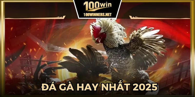 Sảnh đá gà hay nhất mọi thời đại