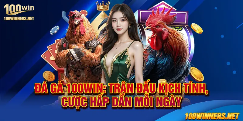 Đá gà 100win: Trận đấu kịch tính, cược hấp dẫn mỗi ngày